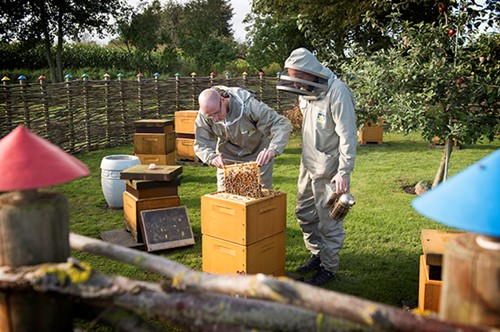 Beehives in Polyurethane